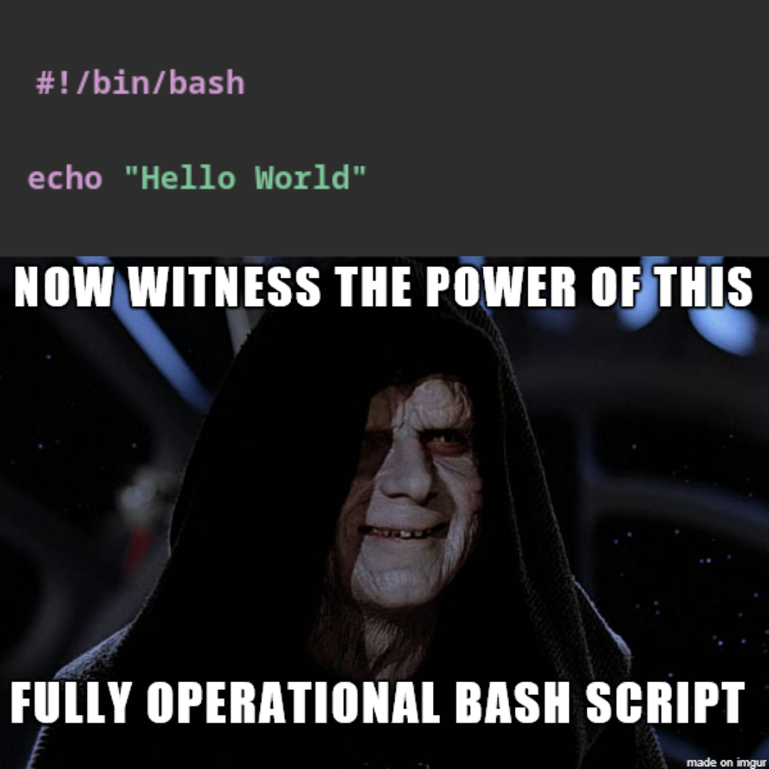 A fully operational Bash script meme