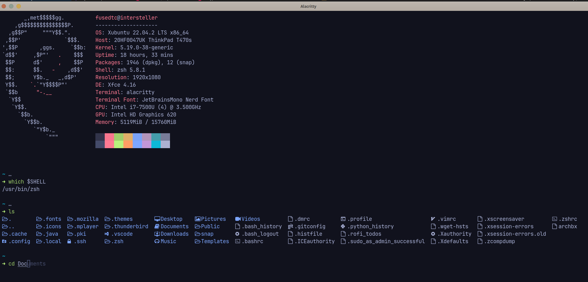 My terminal showing Zsh plugins, LSD, syntax highlighting, and autosuggestions